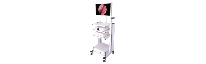 Endoscopy imaging