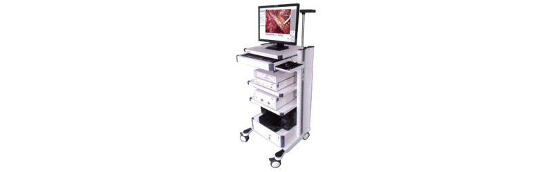 Endoscopy imaging
